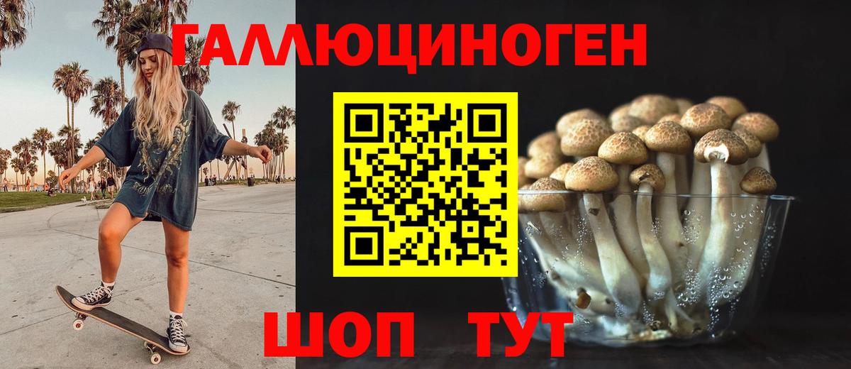 Галлюциногенные грибы GOLDEN TEACHER Кыштым